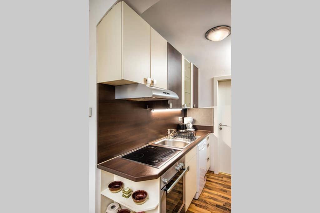 Cosy Apartment Near Stephansplatz Vienna Exterior photo